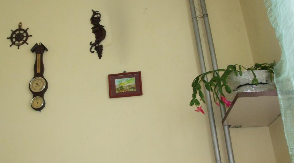 Kamigs Rooms Szófia Szoba fotó